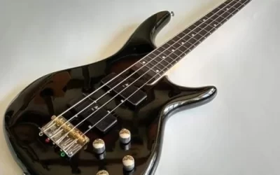 Best Bass Guitar Recommendations to Have