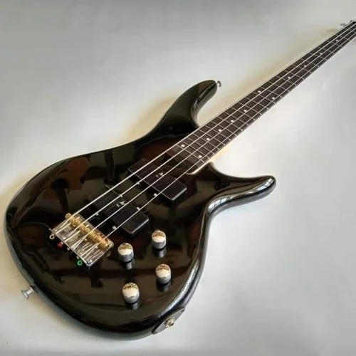 Best Bass Guitar Recommendations to Have