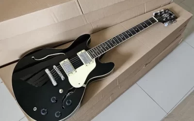 Characteristics of a Hollowbody Guitar