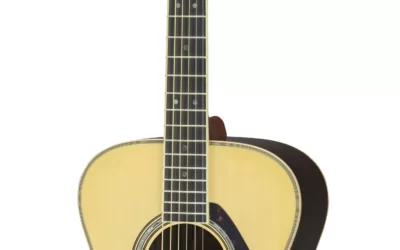 Archtop acoustic (and eventually electric)