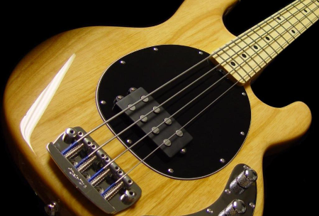 The Bass Guitar and Its Existence