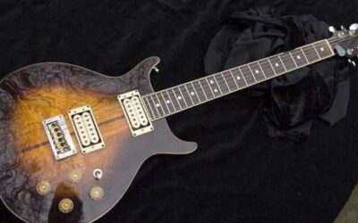 Washburn 22 Seri Hawk Bob Marley