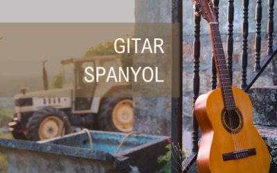 “Spanish Guitar” What is the term for guitar?