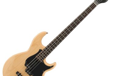 History of Bass Guitar Musical Instruments